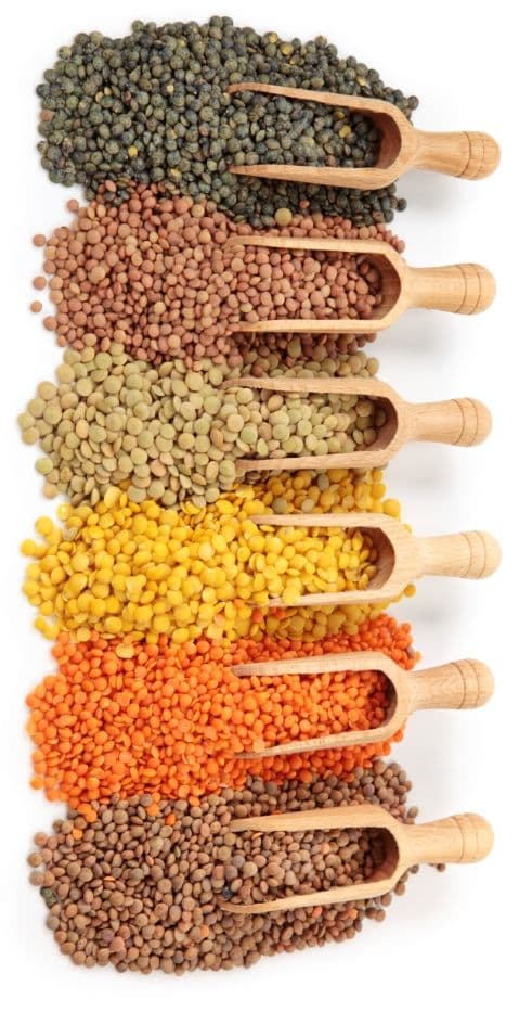 Fresh millets, pulses, and cereals for nutritious corporate meals